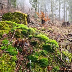Słowacja - Góry Choczańskie
