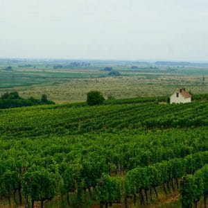 Węgry - Tokaj