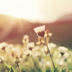 Polska - Roztocze