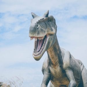 Polska - Dinozaur
