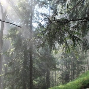 Polska - Góry Stołowe