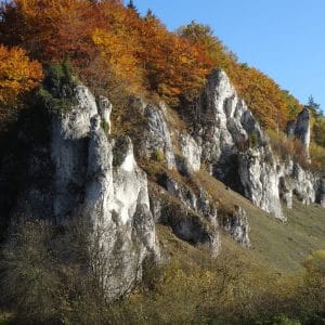 Polska - OPN