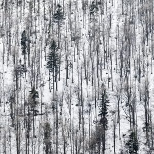 Polska - Beskid Niski