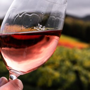 Węgry - Wino