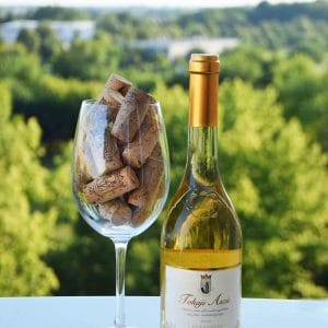 Węgry - Tokaj