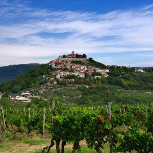 Chorwacja - Motovun