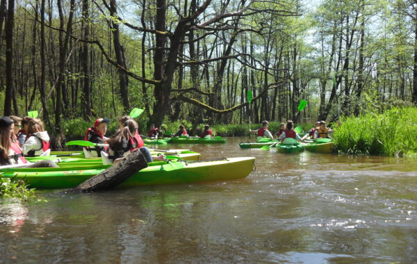 Roztocze wiosną malowane