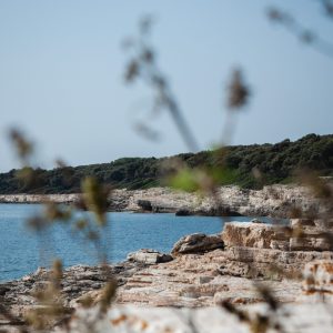Chorwacja - Brijuni