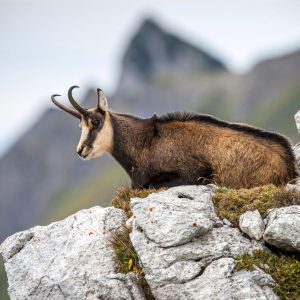 Polska - Tatry