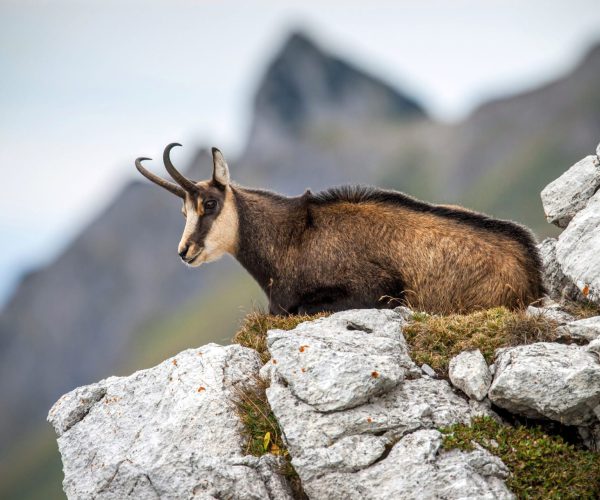 Polska - Tatry