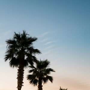 Francja - Saint Tropez