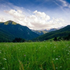 Bośnia - Sutjeska